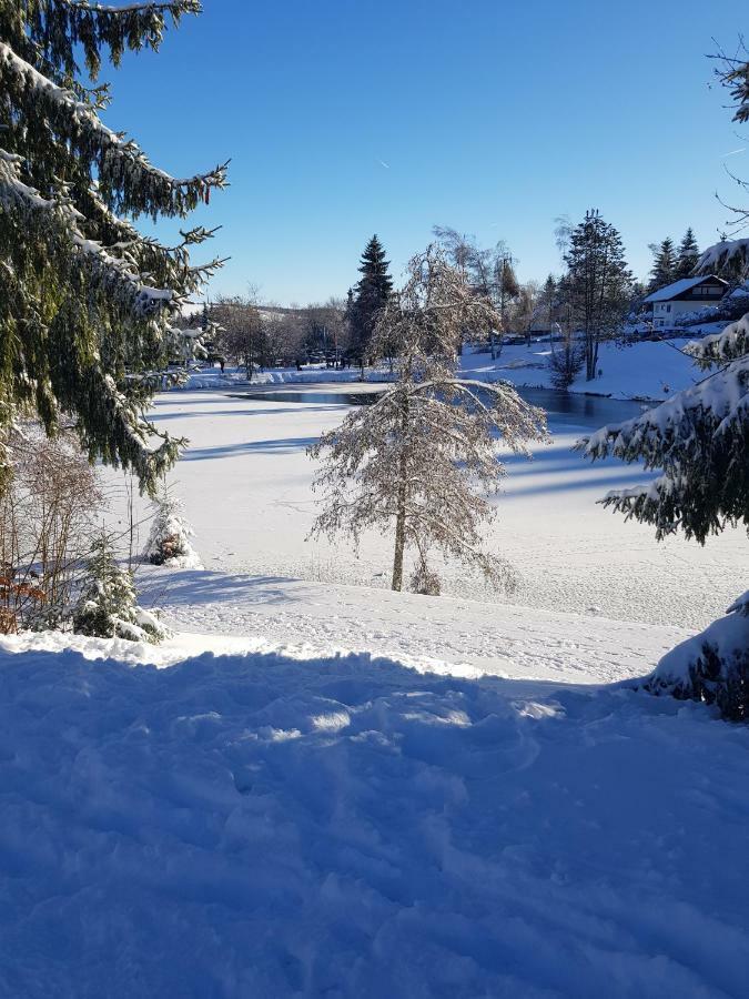 Apartament Jules Traum im Schwarzwald Herrischried Zewnętrze zdjęcie
