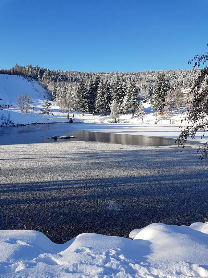 Apartament Jules Traum im Schwarzwald Herrischried Zewnętrze zdjęcie