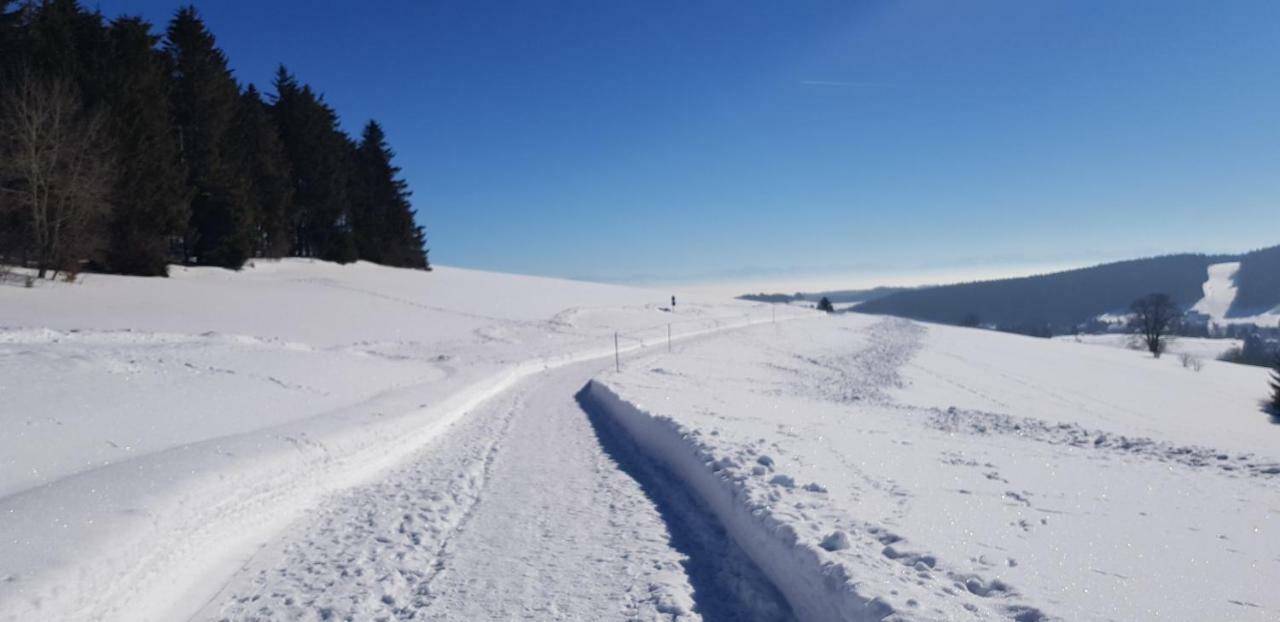Apartament Jules Traum im Schwarzwald Herrischried Zewnętrze zdjęcie