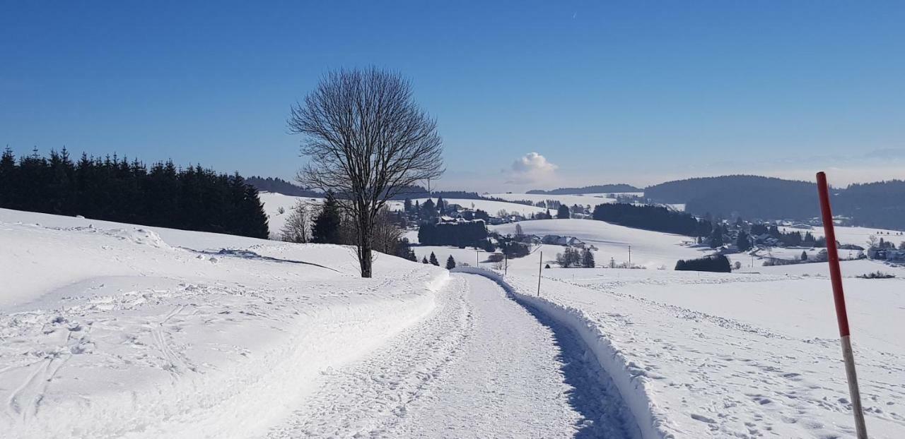 Apartament Jules Traum im Schwarzwald Herrischried Zewnętrze zdjęcie